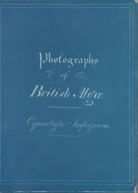 Cover of Photographes of British Algae